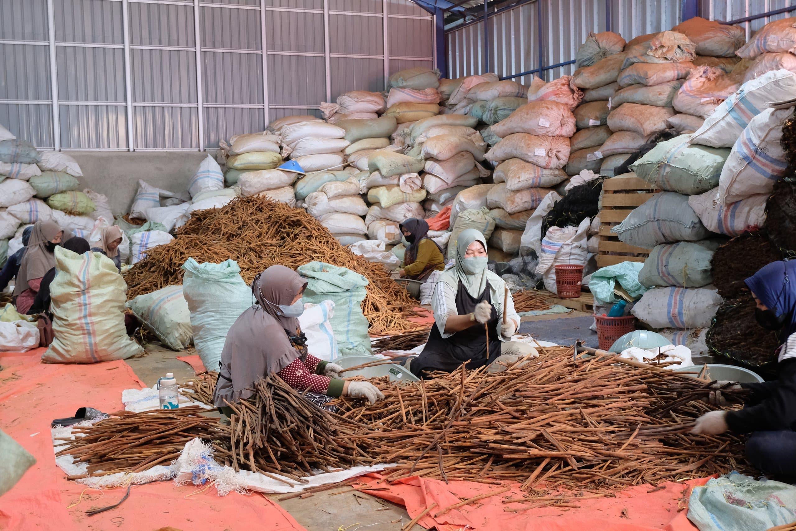 Futra Spices origin and operations archive 04